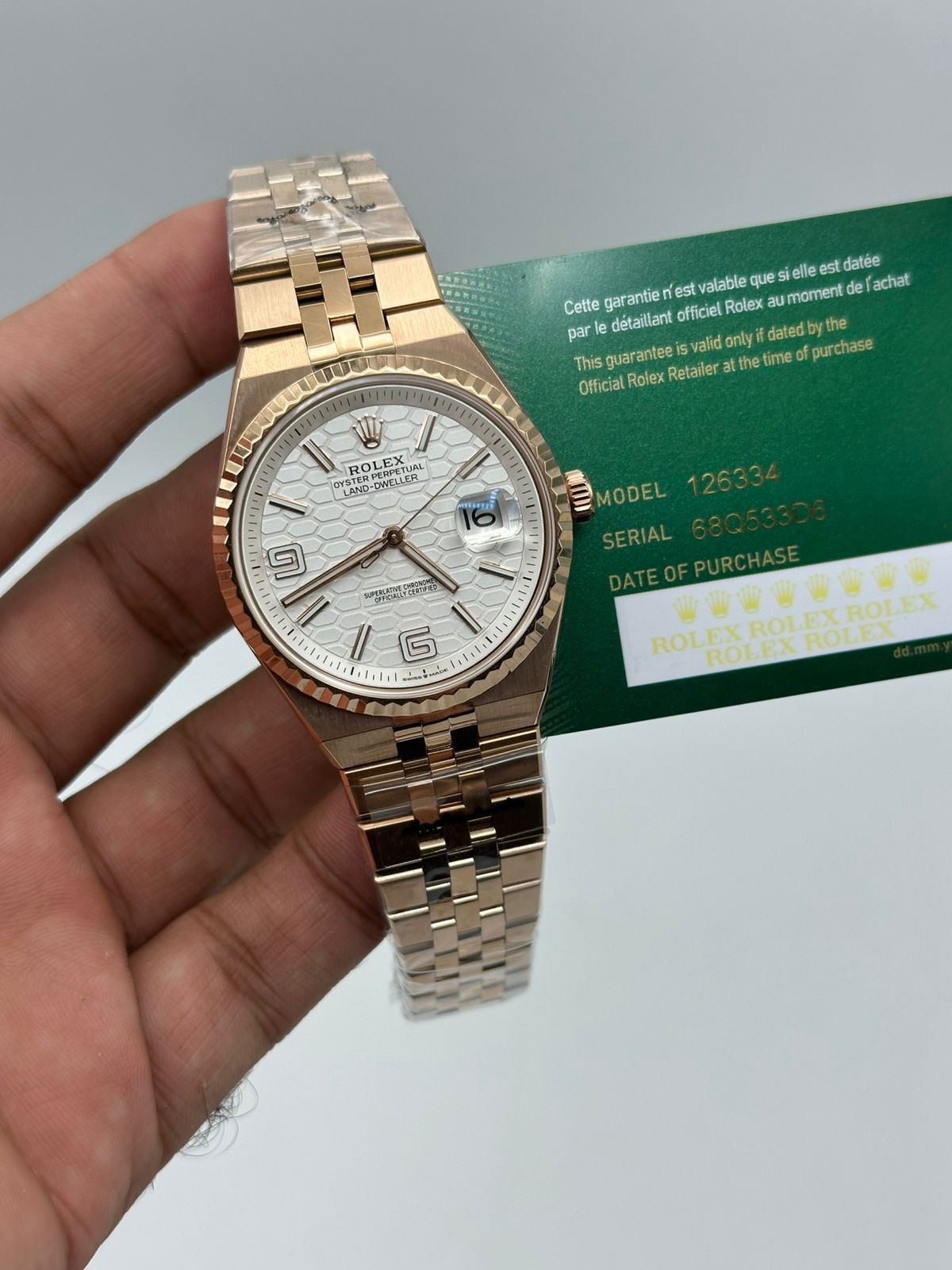 Rolex Land Dweller WristVault
